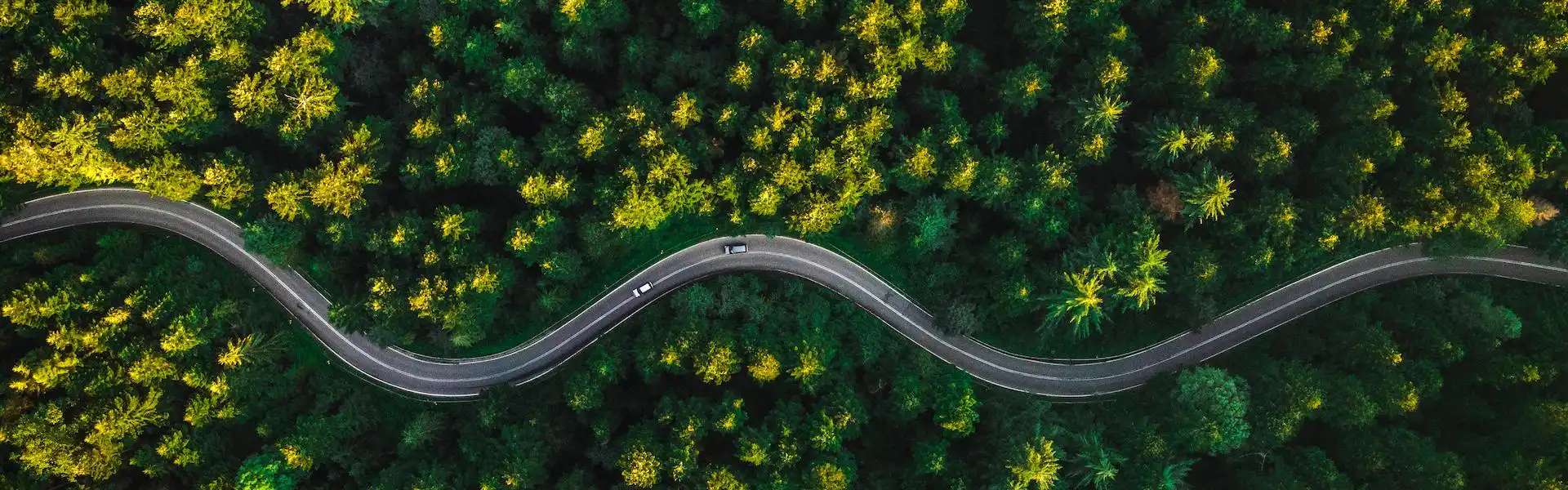 Homepage Background